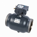 065N0161GR RJIP Premium Кран шаровой WW DN250 PN25 WG (приварной, с редуктором, С/П), Ридан